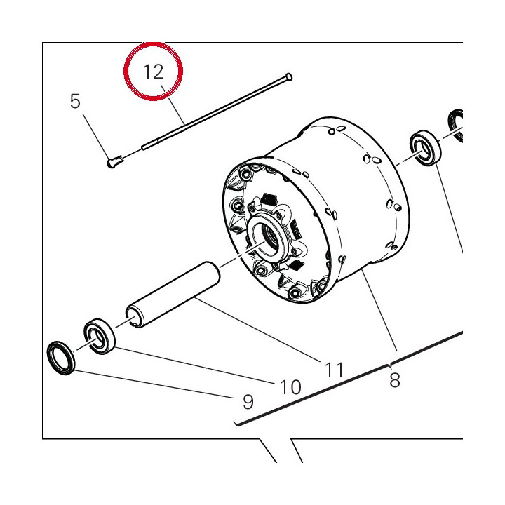 Rayon roue 49610131A — réf. 49610131A | Ducati Store