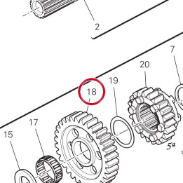 1St driven gear Z38 I=61 — réf. 17216521A | Ducati Store