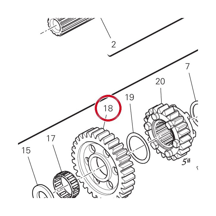 1St driven gear Z38 I=61 — réf. 17216521A | Ducati Store