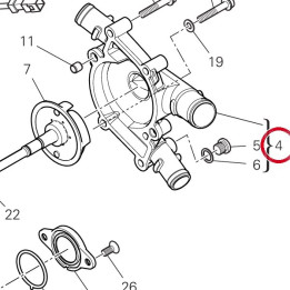 Couvercle pompe eau — réf. 24725241BI | Ducati Store