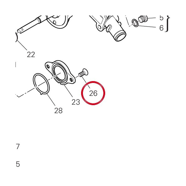 Vis tspei M6X14 77750493C — réf. 77750493C | Ducati Store