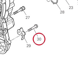 Vis 77140743C — réf. 77140743C | Ducati Store