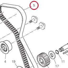 Courroie distribution — réf. 73740251B | Ducati Store