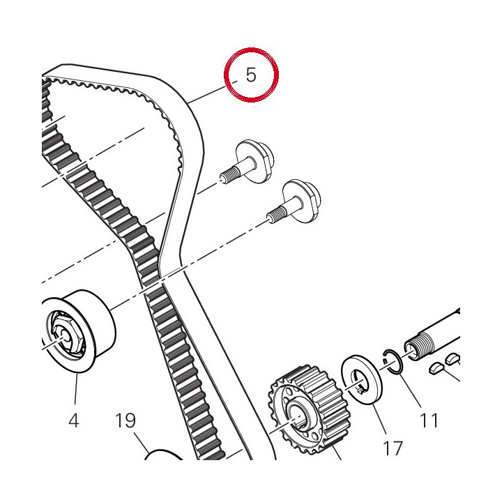 Courroie distribution — réf. 73740251B | Ducati Store