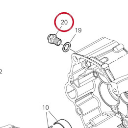 Vis special 7791C461A — réf. 7791C461A | Ducati Store