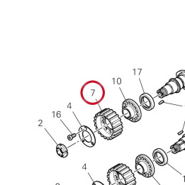 Poulie distribution — réf. 25510193A | Ducati Store