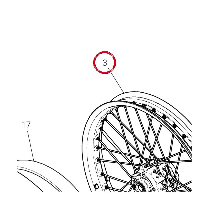 Jante de roue avant — réf. 50122981CA | Ducati Store