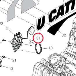 Deca Ducati serbatoio sx — réf. 4381I061A | Ducati Store