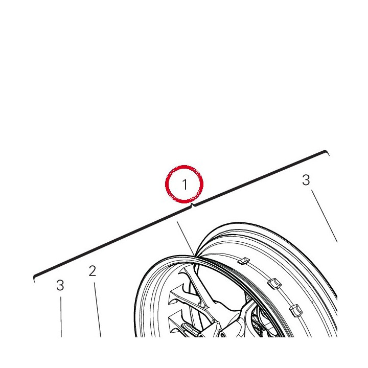 Roue arrière 50222791AA — réf. 50222791AA | Ducati Store