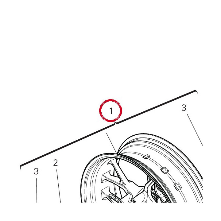 Roue arrière 50222791AC — réf. 50222791AC | Ducati Store