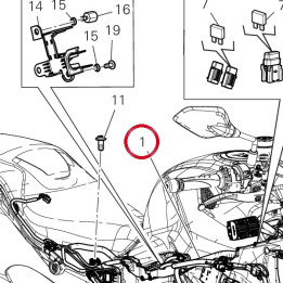 C╢blage principal 5101L591G — réf. 5101L591G | Ducati Store