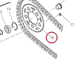 Couronne D43 49412131AA — réf. 49412131AA | Ducati Store