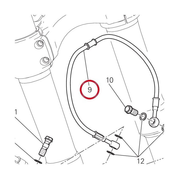 Tuyau frein avant — réf. 61810901A | Ducati Store