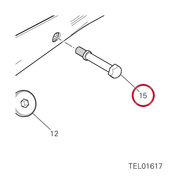 Goupille 83210841A — réf. 83210841A | Ducati Store