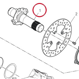Pivot roue arrière — réf. 81920982AA | Ducati Store