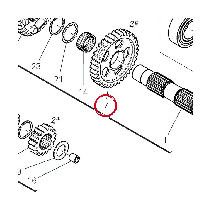 Engrenage entraine 2Ème — réf. 17215621A | Ducati Store