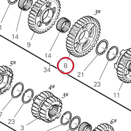 Engrenage entraine 3Ème — réf. 17215631B | Ducati Store