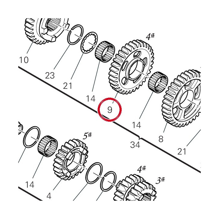 Engrenage entraine 4Ème — réf. 17215641B | Ducati Store