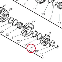 Engrenage conducteur 2Ème — réf. 17215671A | Ducati Store