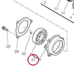 Roulement (ensemble) — réf. 710P0021B | Ducati Store