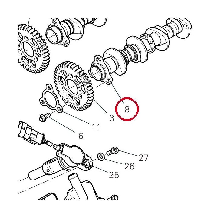 Arbre À cames échappement — réf. 14815582A | Ducati Store