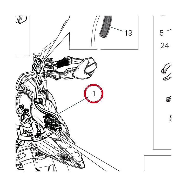 C╢blage principal 5101Q721F — réf. 5101Q721F | Ducati Store
