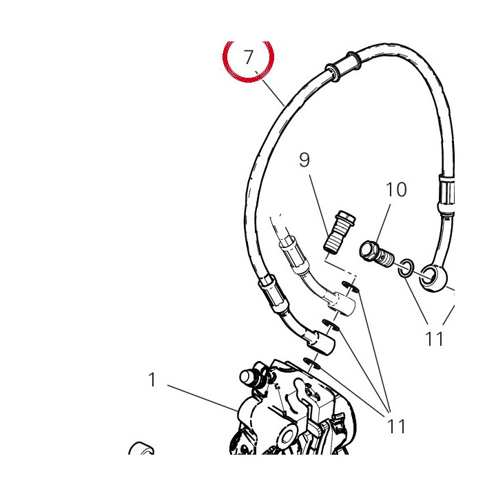 Tuyau frein avant 61810861A — réf. 61810861A | Ducati Store