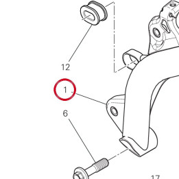 Cadre 47018432CA — réf. 47018432CA | Ducati Store
