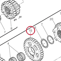 Engrenage entraine 3Me — réf. 17216361B | Ducati Store