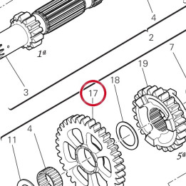 Engrenage entraine 1Me — réf. 17216751A | Ducati Store