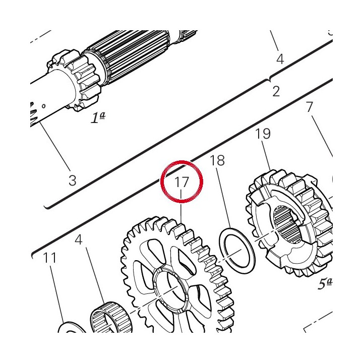 Engrenage entraine 1Me — réf. 17216751A | Ducati Store