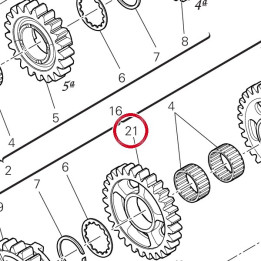 Engrenage entraine 4Me — réf. 17216371B | Ducati Store