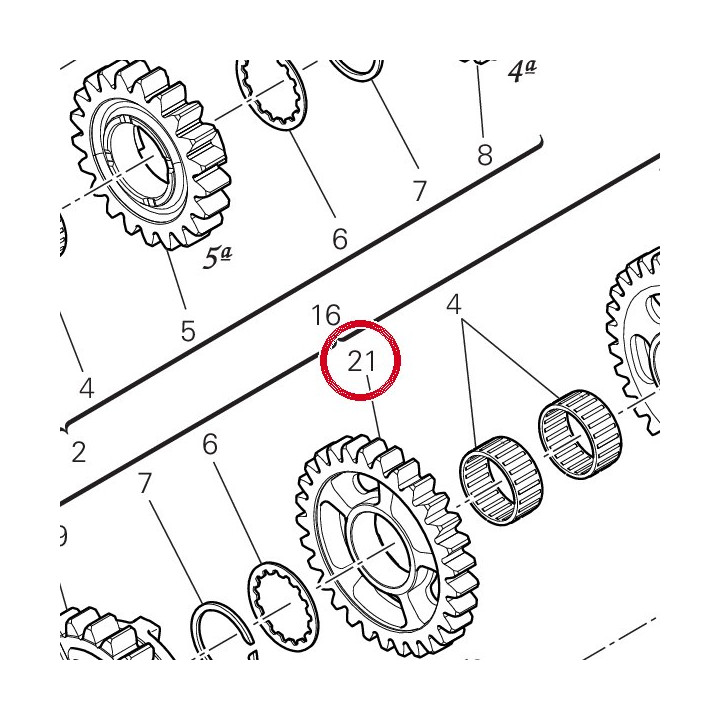 Engrenage entraine 4Me — réf. 17216371B | Ducati Store
