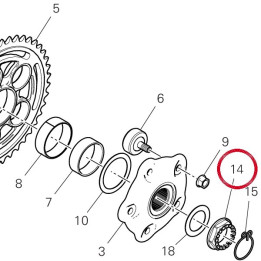 Ecrou 75012111AA — réf. 75012111AA | Ducati Store