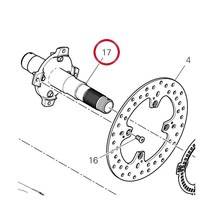 Pivot roue arrière — réf. 81920382C | Ducati Store