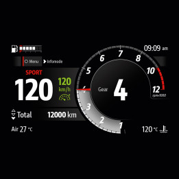 Cruise control — réf. 96581271AA | Ducati Store