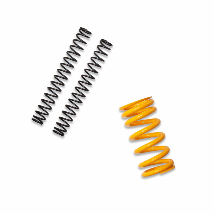 Suspensions surbaissées — réf. 96282381AA | Ducati Store