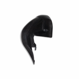 Pare-chaleur en carbone — réf. 96982011AA | Ducati Store