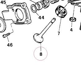 Intake valve 065992110