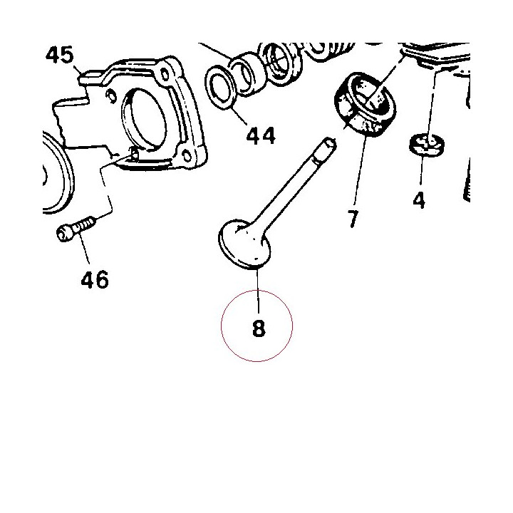 Intake valve 065992110