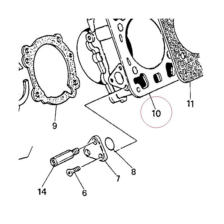 Cylinder-piston assembly 12510081AA