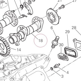 Vertical intake camshaft 14814361C