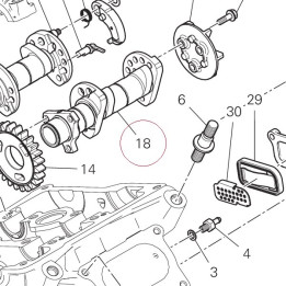 Vertical intake camshaft 14815391C