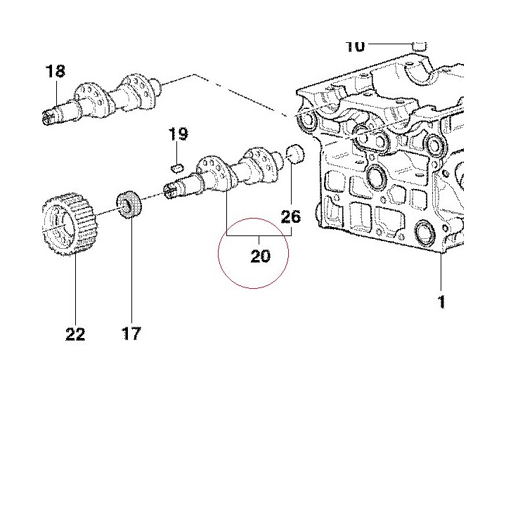Vertical intake camshaft 14820951B