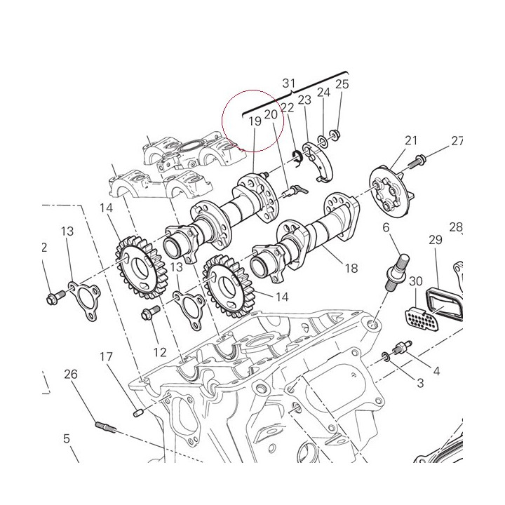 Vertical exhaust camshaft 14824191B