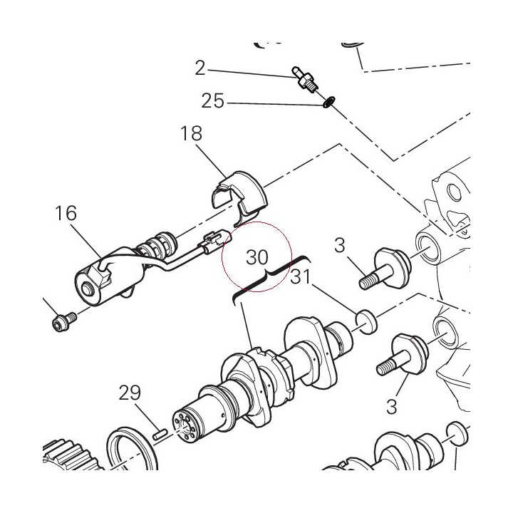 Horizontal intake camshaft 14825011E