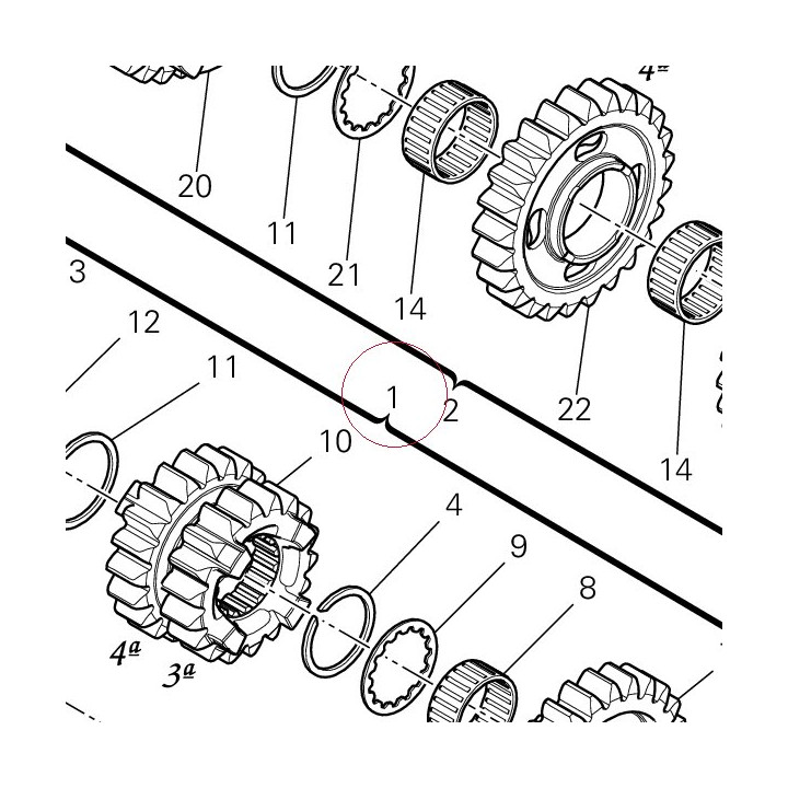 Complete main shaft 15021492E