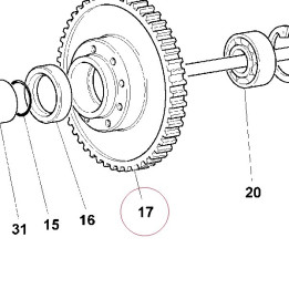 Gear, primary driven T31/62 17020052B