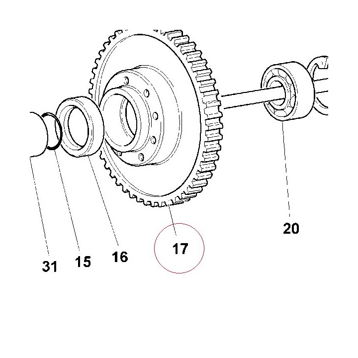 Gear, primary driven T31/62 17020052B