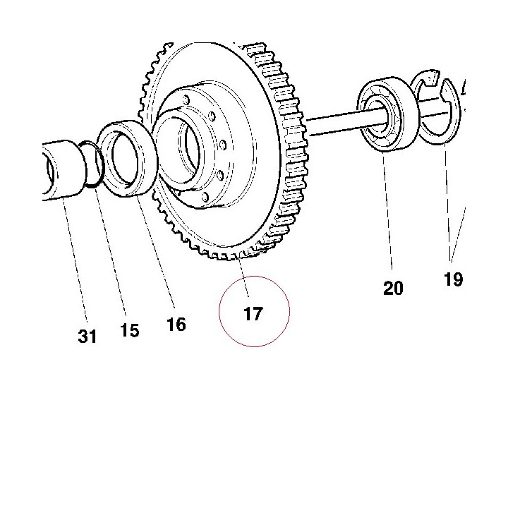 Primary driven gear complete 17020281A